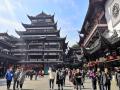2泊4日で杭州・上海旅行　Day2上海