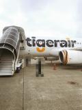 Tigerair台湾の旅①