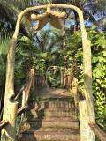 ボルネオ島のジャングルを訪ねる旅④キナバタンガン自然保護区へ1日目