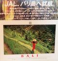 バリ島/1994-2　アユン川下り=ラフティング体験　☆ウブド周辺=サイクリング・ツアーも