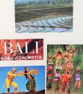 バリ島/1994-4　バリ舞踊=無形文化遺産=鑑賞　☆チャロンアラン・ケチャ・レゴンなど
