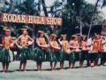 オアフ島再訪　1996年　ヒルトン・ハワイアン・ビレッジに３連泊　☆Kodak-フラ-ショーを見学