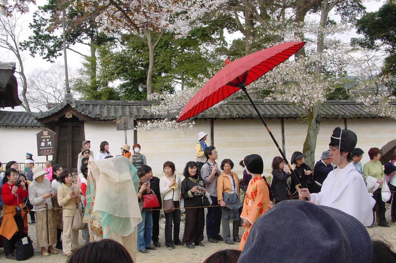 豊太閤花見行列の日とは知らなんだ ヾ 醍醐寺 05年4月10日 伏見 京都 の旅行記 ブログ By Midnight Mamyさん フォートラベル