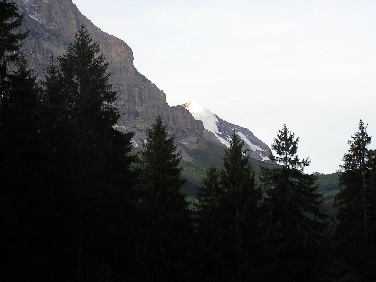 スイスアルプスの山々についての印象 その シルバーホルン スイスの旅行記 ブログ By Tsunetaさん フォートラベル