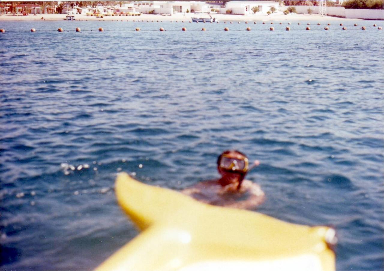 アカバ湾で泳ぐ アカバ ヨルダン の旅行記 ブログ By Kokonoさん フォートラベル
