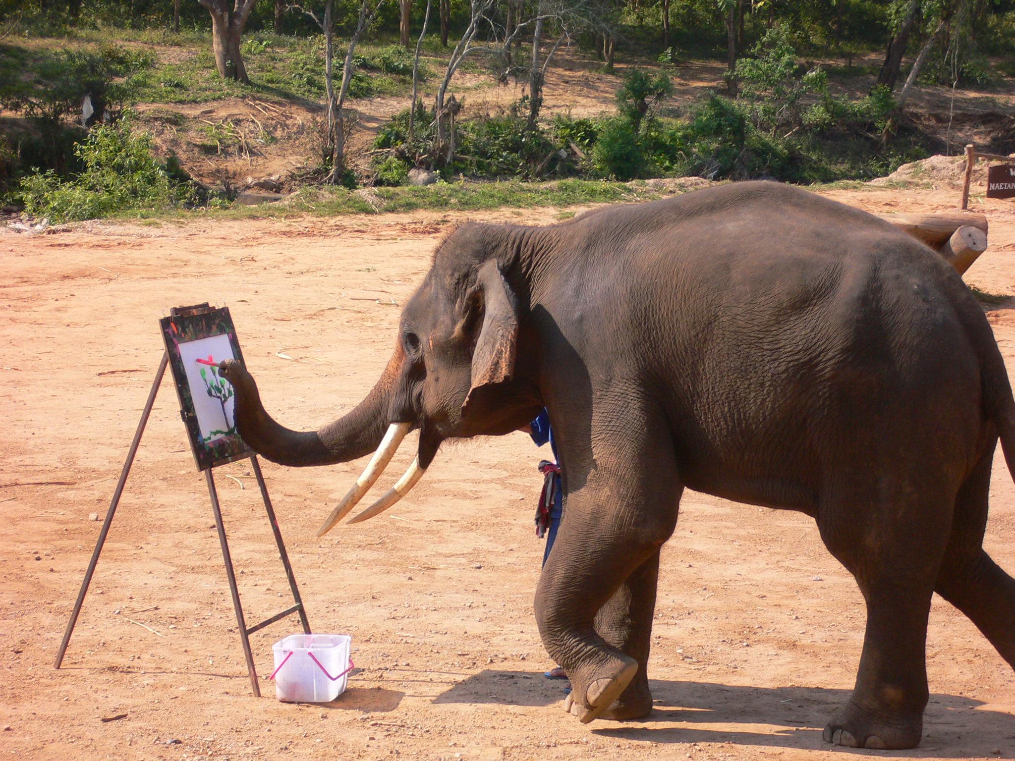チェンマイ 象は絵を描くか チェンマイ タイ の旅行記 ブログ By Azianokazeさん フォートラベル