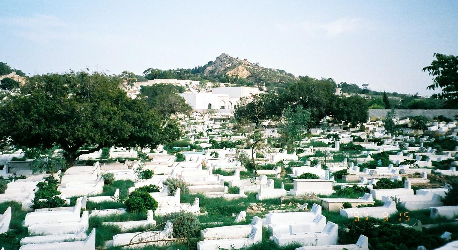 チュニジア ハイライトその３ イスラム墓地 チュニジアの旅行記 ブログ By まみさん フォートラベル