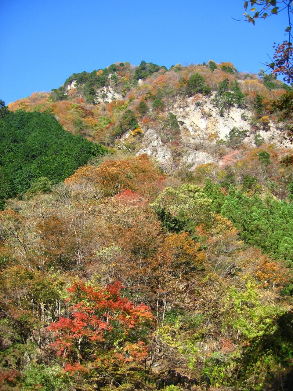 奥多摩の展望台 川苔山に登頂 紅葉と落葉のはざまで 奥多摩 東京 の旅行記 ブログ By マキタンさん フォートラベル