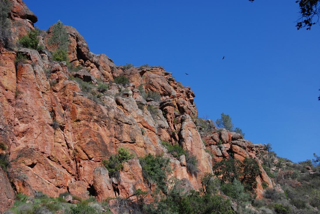 ピナクルズ国定公園 Pinnacles National Monument カリフォルニア州 アメリカ の旅行記 ブログ By Muffinさん フォートラベル