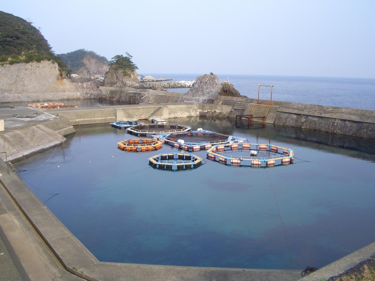 島旅 伊豆諸島 式根島編 森林浴 海中温泉 神津島 利島 式根島 東京 の旅行記 ブログ By つきこさん フォートラベル