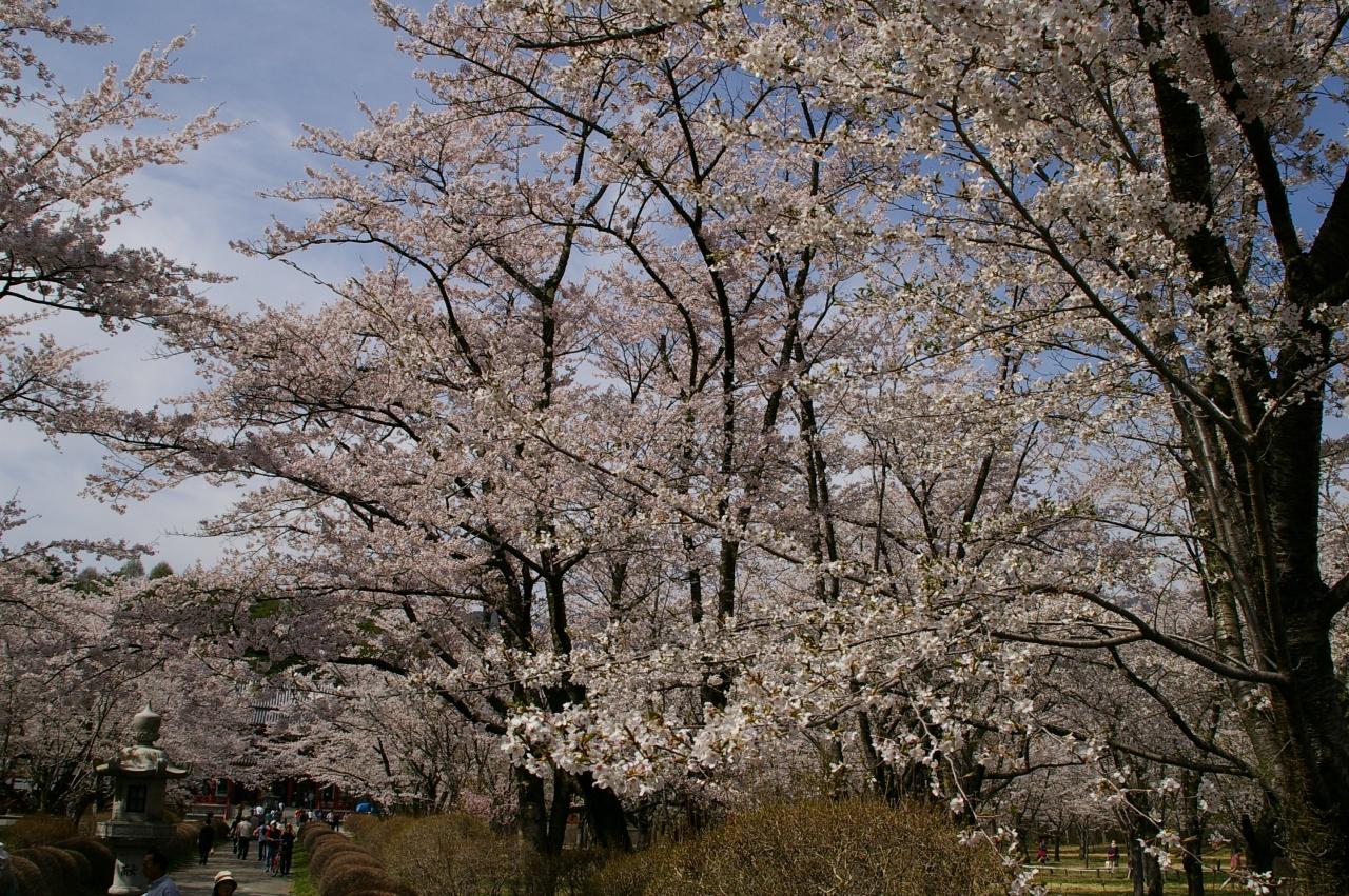 ５月の連休旅行 白樺湖 蓼科 車山 長野県 の旅行記 ブログ By わたすげさん フォートラベル