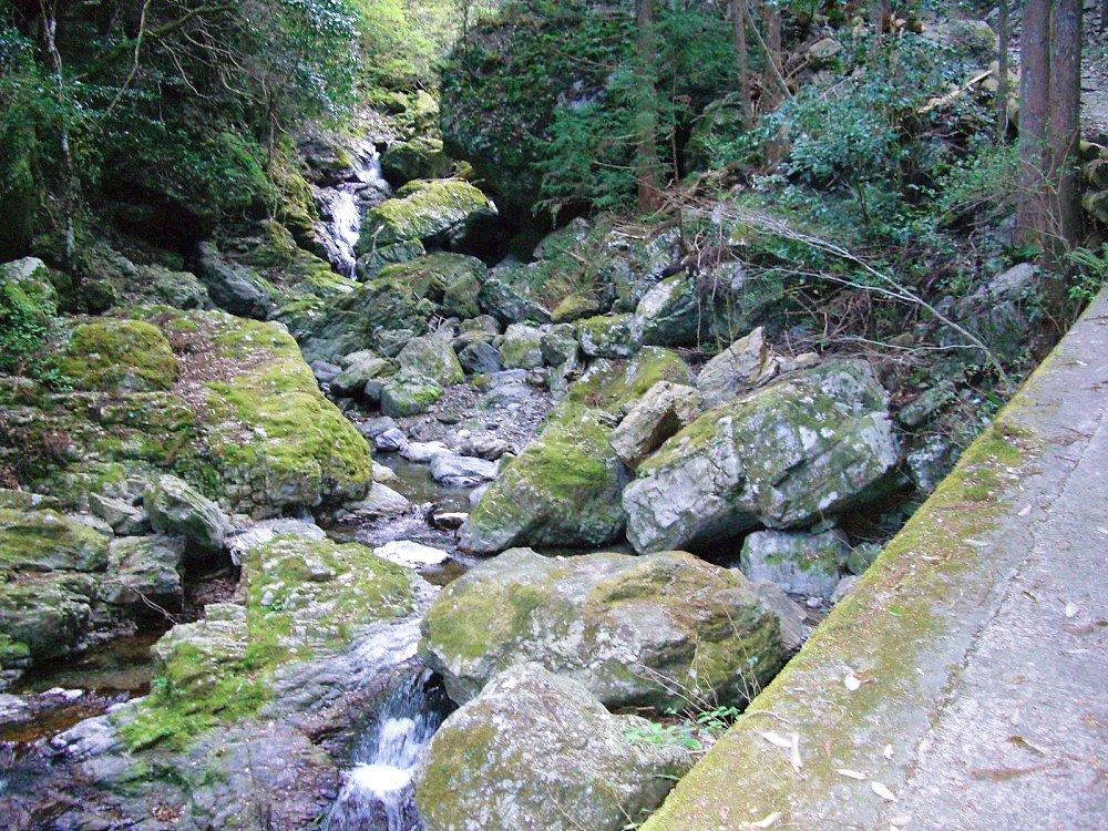 日本の滝１００選 雨乞の滝 徳島県の旅行記 ブログ By マブハイさん フォートラベル