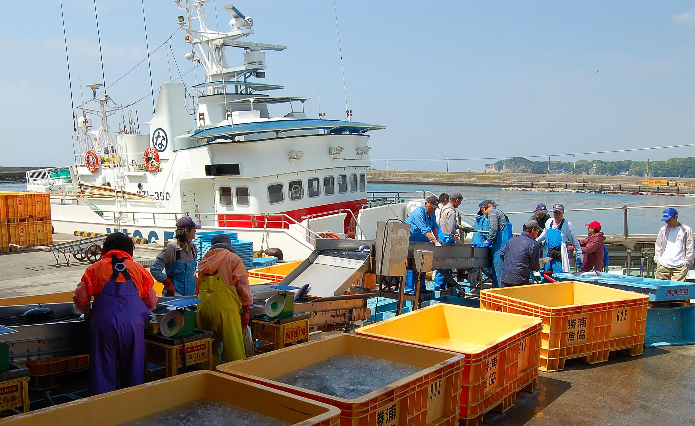 勝浦魚港に次々と鰹船が入港しています 勝浦 千葉県 の旅行記 ブログ By 風神さん フォートラベル