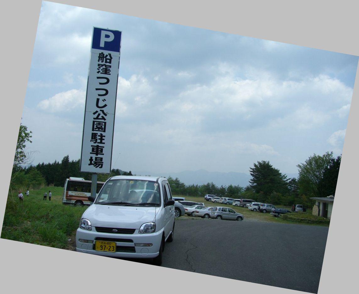 船窪のオンツツジ群落 吉野川 阿波 脇町 徳島県 の旅行記 ブログ By マブハイさん フォートラベル