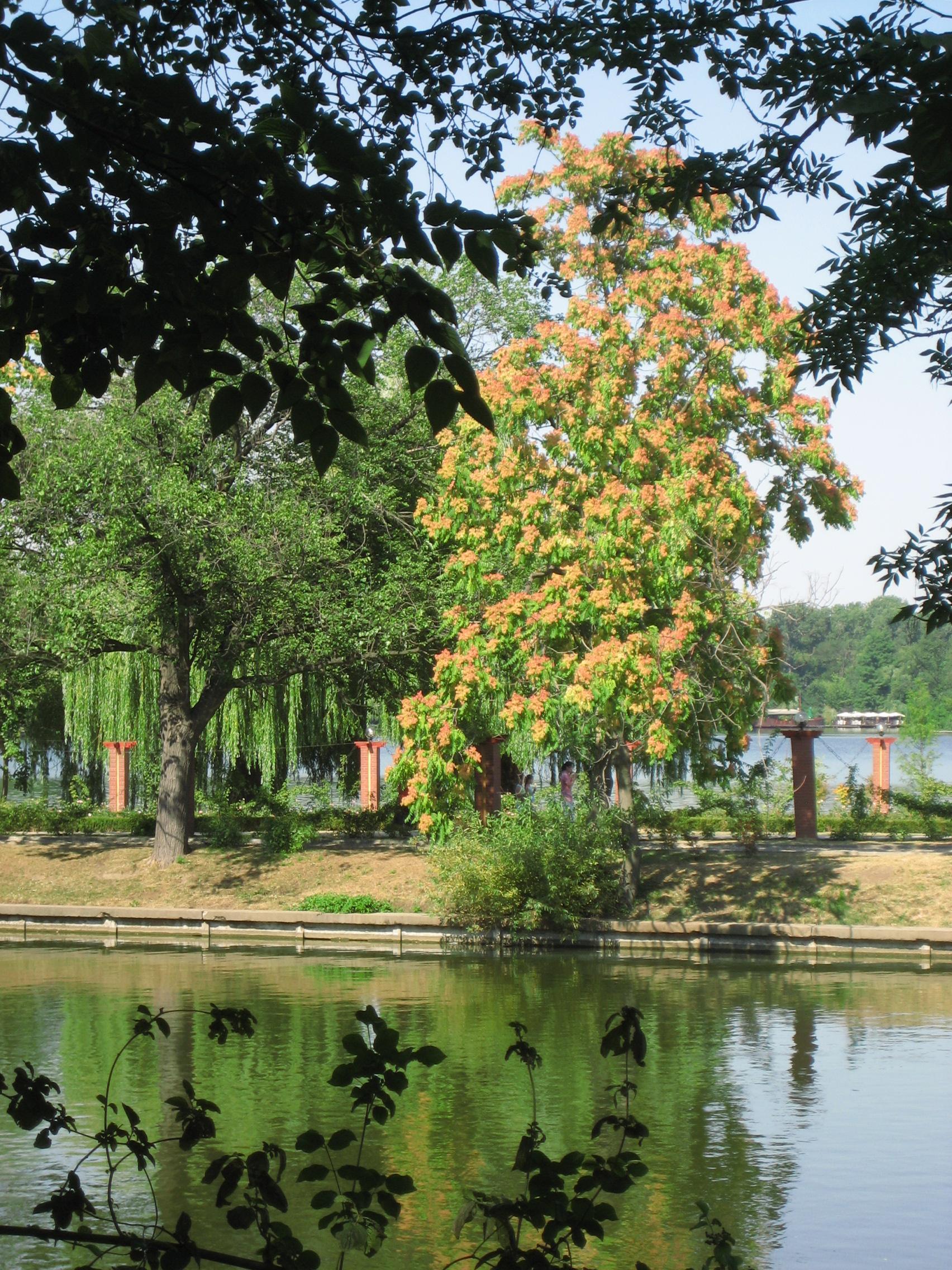 07年ルーマニア旅行第２日目 4 ブカレスト 緑がまぶしいヘラストラウ公園 ブカレスト ルーマニア の旅行記 ブログ By まみさん フォートラベル