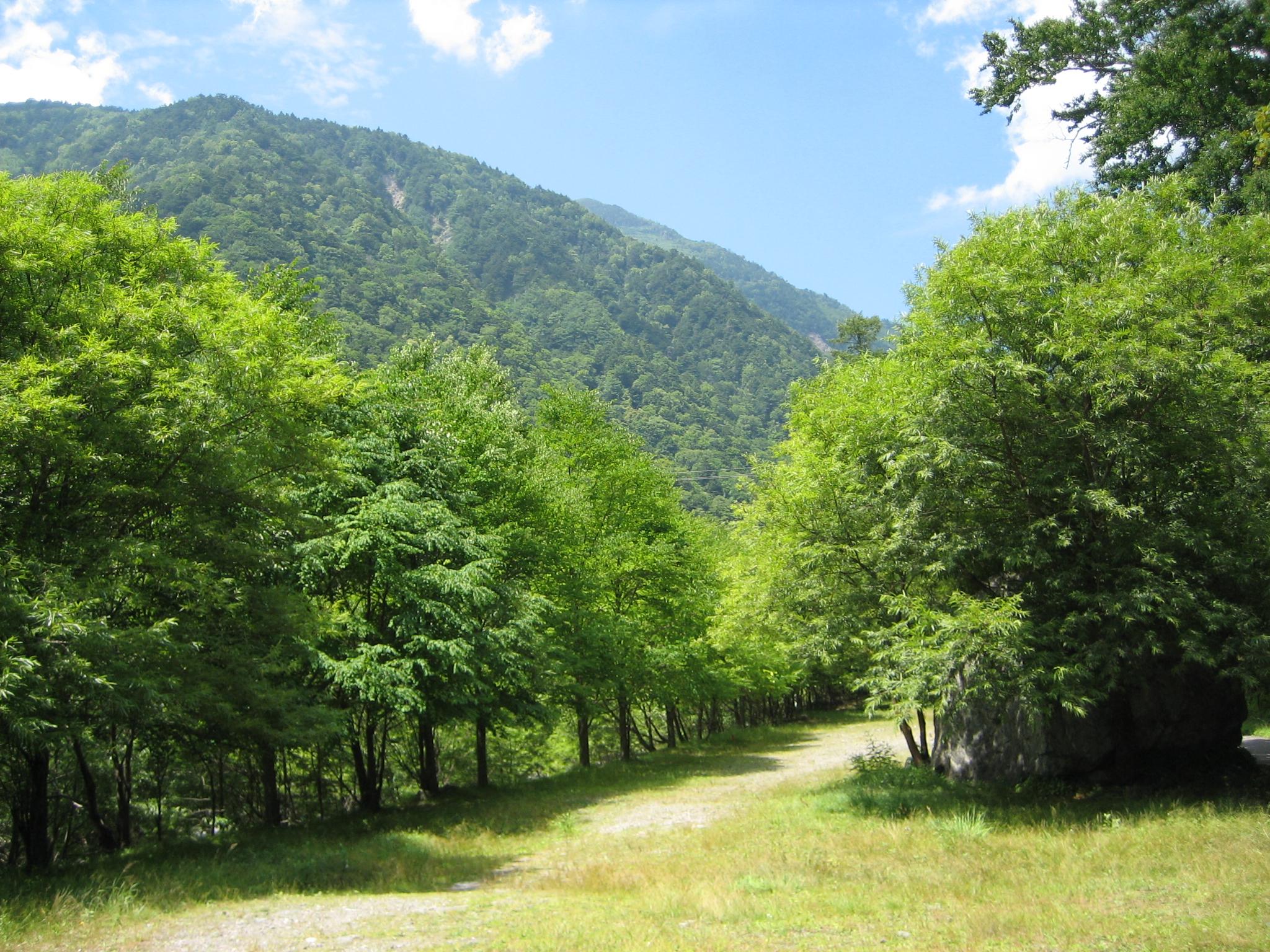 南アルプス林道横断 山梨県の旅行記 ブログ By Kunikuniさん フォートラベル