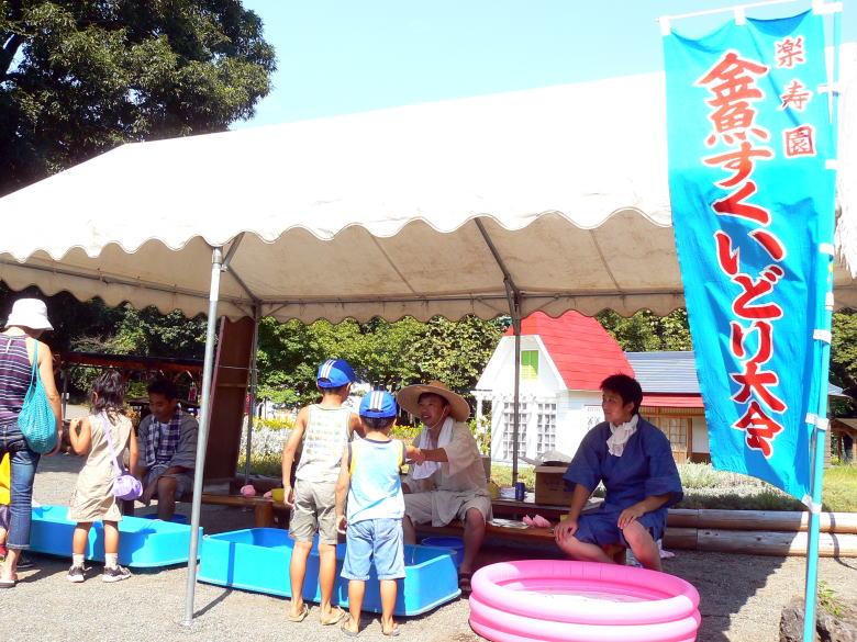 三島夏祭り 楽寿園の金魚すくい大会 座 和民 ざ わたみ 三島 静岡県 の旅行記 ブログ By ミシマさん フォートラベル