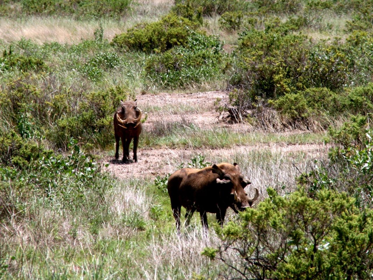 サンブルからジャンボ その２ サンブル国立保護区周辺 ケニア の旅行記 ブログ By Zisamaさん フォートラベル