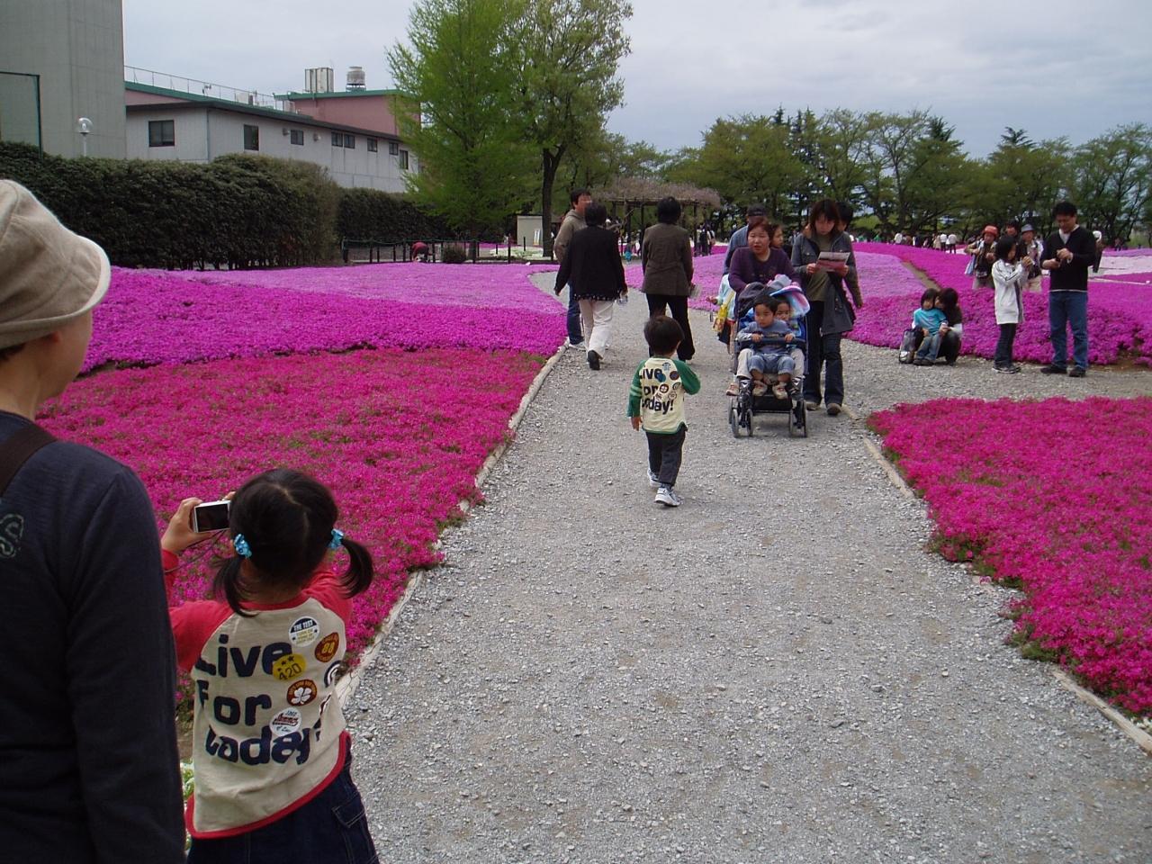 子連れ家族と青い芝桜をちょっと見に行く 館林 群馬県 の旅行記 ブログ By まっちゃんさん フォートラベル