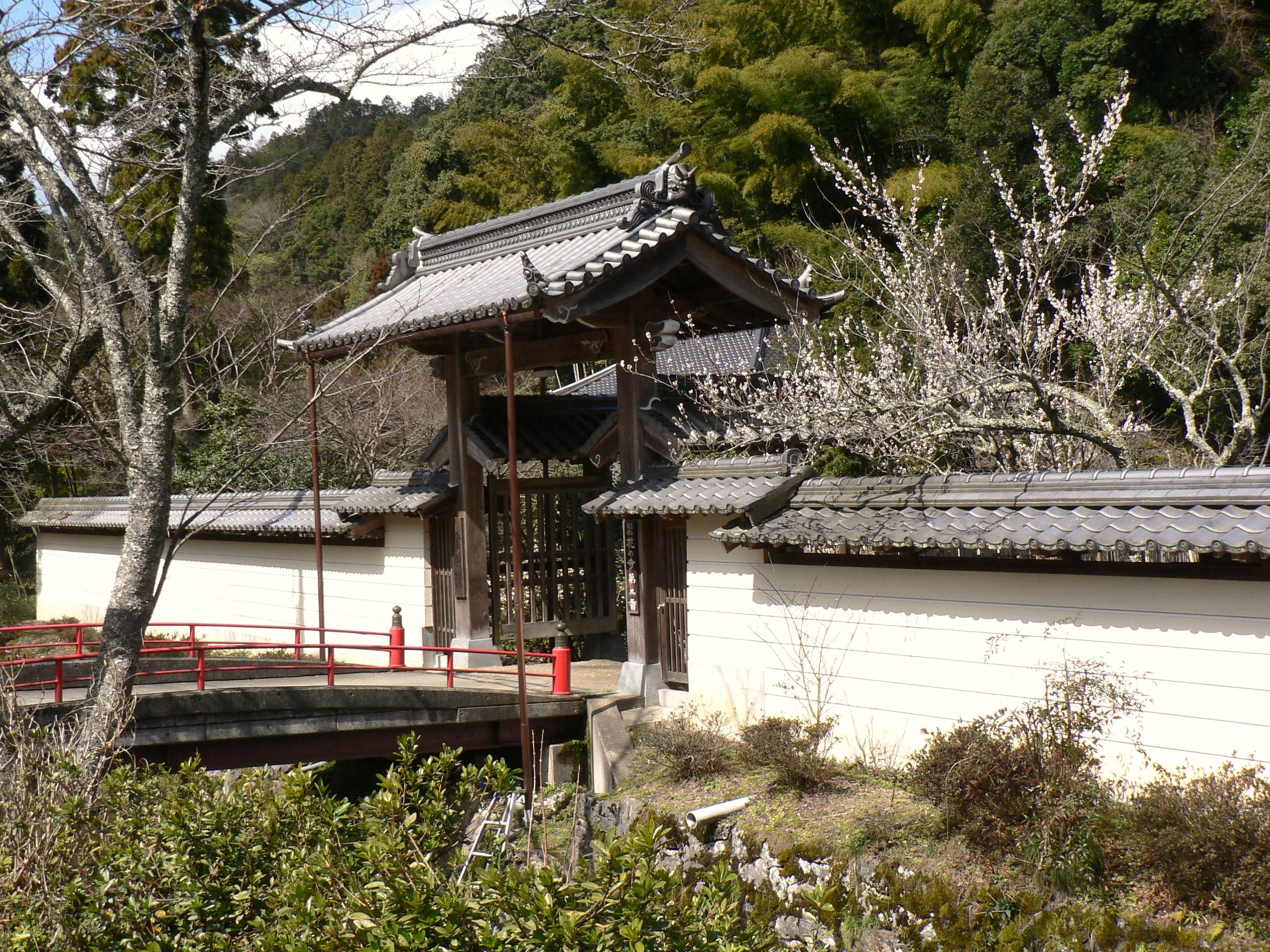 『舞鶴自然文化園の椿』舞鶴(京都)の旅行記・ブログ by ohchanさん【フォートラベル】