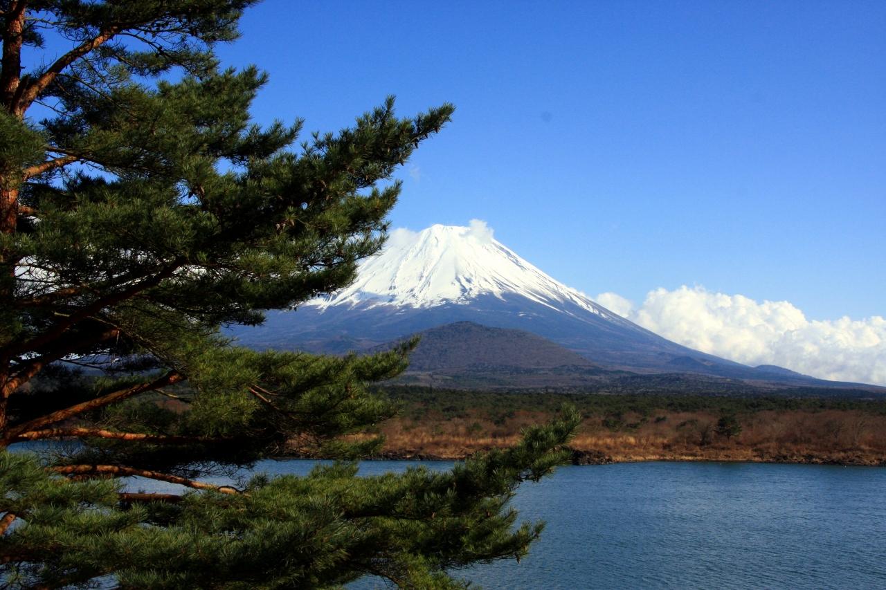 『精進湖と富士山』富士五湖(山梨県)の旅行記・ブログ by ゆっきさん【フォートラベル】