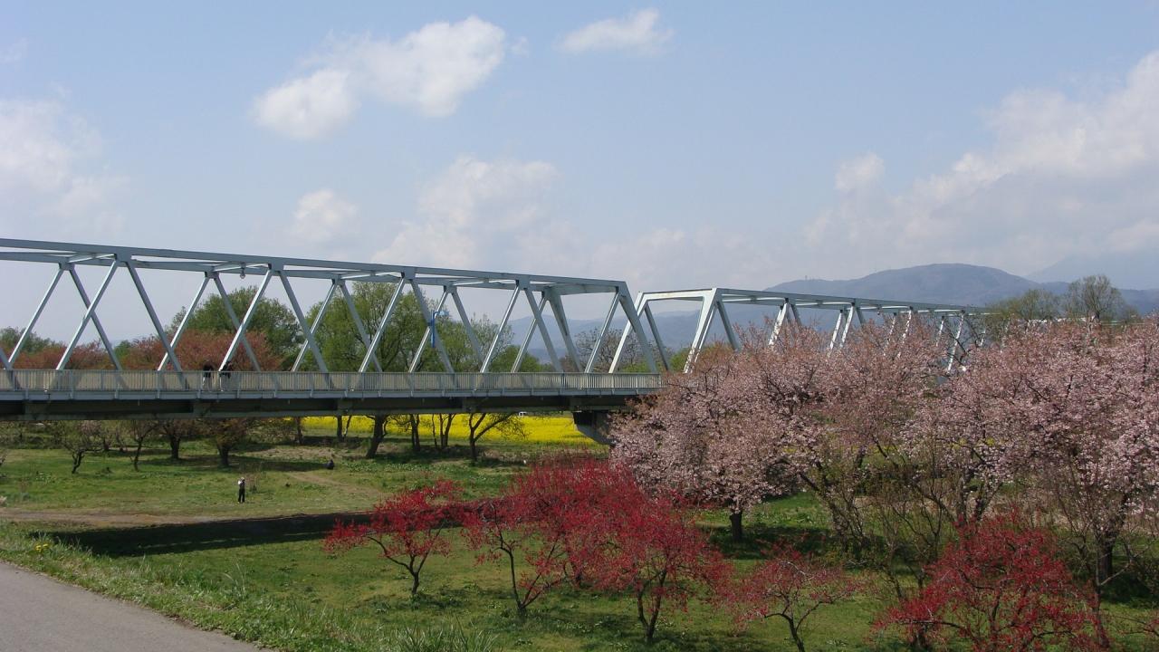 小布施 千曲川河川敷の三春 中野 小布施 長野県 の旅行記 ブログ By Hn11さん フォートラベル