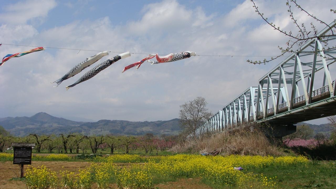 小布施 千曲川河川敷の三春 中野 小布施 長野県 の旅行記 ブログ By Hn11さん フォートラベル