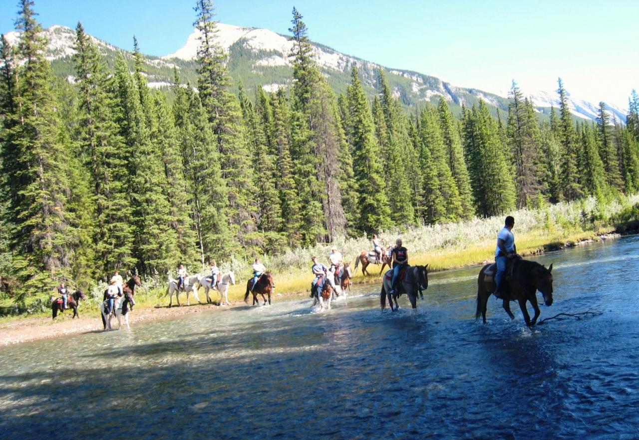 馬の背に揺られてバンフを散歩 Horseback Riding In Banff Canada 11才女子 英語圏での乗馬に初挑戦 バンフ カナダ の旅行記 ブログ By ウェンディさん フォートラベル