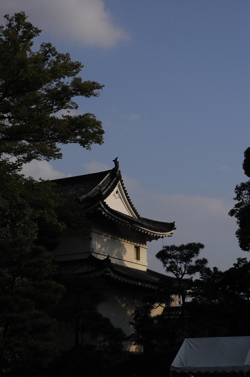 思った以上にすげーな 二条城 二条 烏丸 河原町 京都 の旅行記 ブログ By 円蔵さん フォートラベル