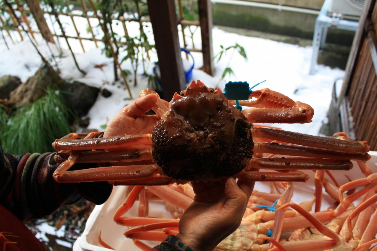 ２０１０年冬 旬のカニを食べに日本海へ 澄風荘 前編 Vol ３ 浜坂 兵庫県 の旅行記 ブログ By 熊野古道さん フォートラベル