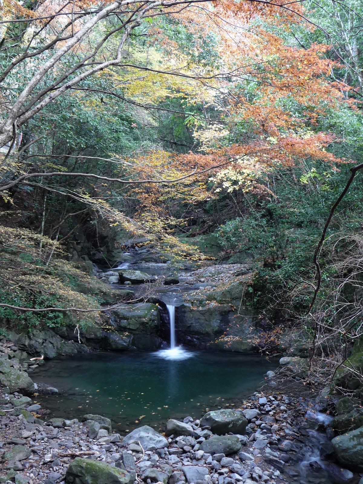 09紅葉だより 犬鳴山渓谷の滝めぐり 大阪府泉佐野市 関西空港 泉佐野 大阪 の旅行記 ブログ By Joecoolさん フォートラベル