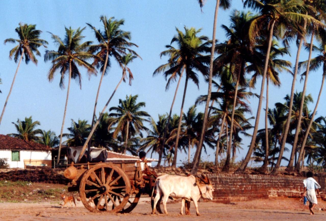 ヒッピーの 世界3大聖地の一つ Goa ゴア の現在 ゴア インド の旅行記 ブログ By 北風さん フォートラベル