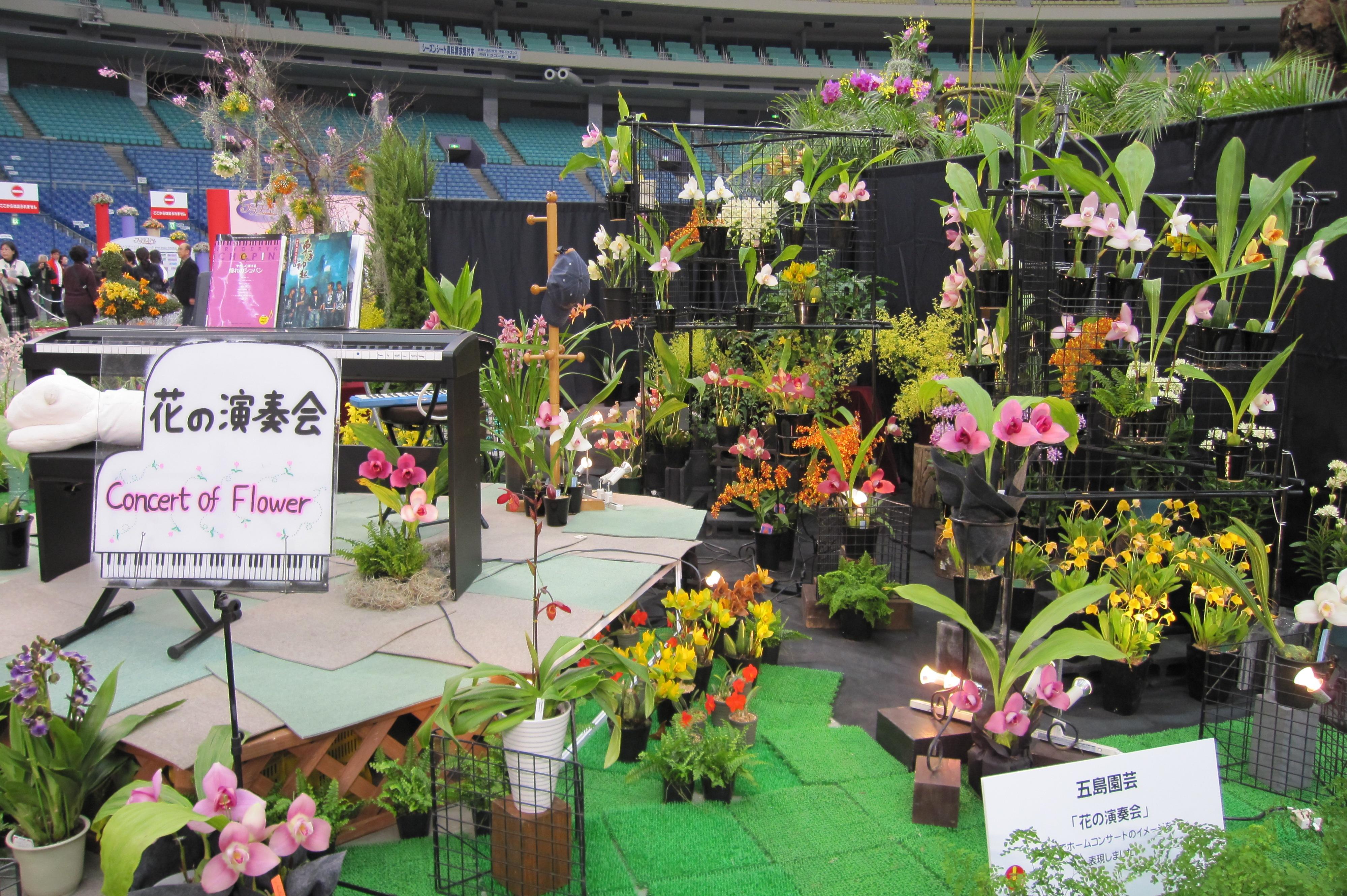 11春 フラワードーム 9 ディスプレーコンテスト 浅井大桂園 五島園芸他 愛知県の旅行記 ブログ By 旅人のくまさんさん フォートラベル