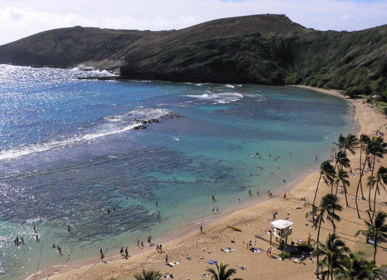 サンフランシスコ出張とちょっとより道ハワイの旅 その オアフ島半日観光 ホノルル ハワイ の旅行記 ブログ By Mill Reefさん フォートラベル