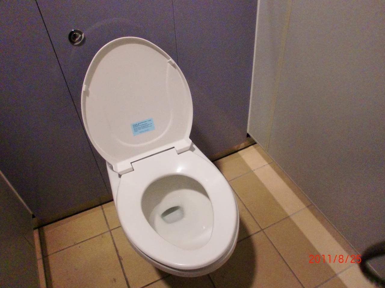 コスモス ホテル 台北 トイレ 流せる
