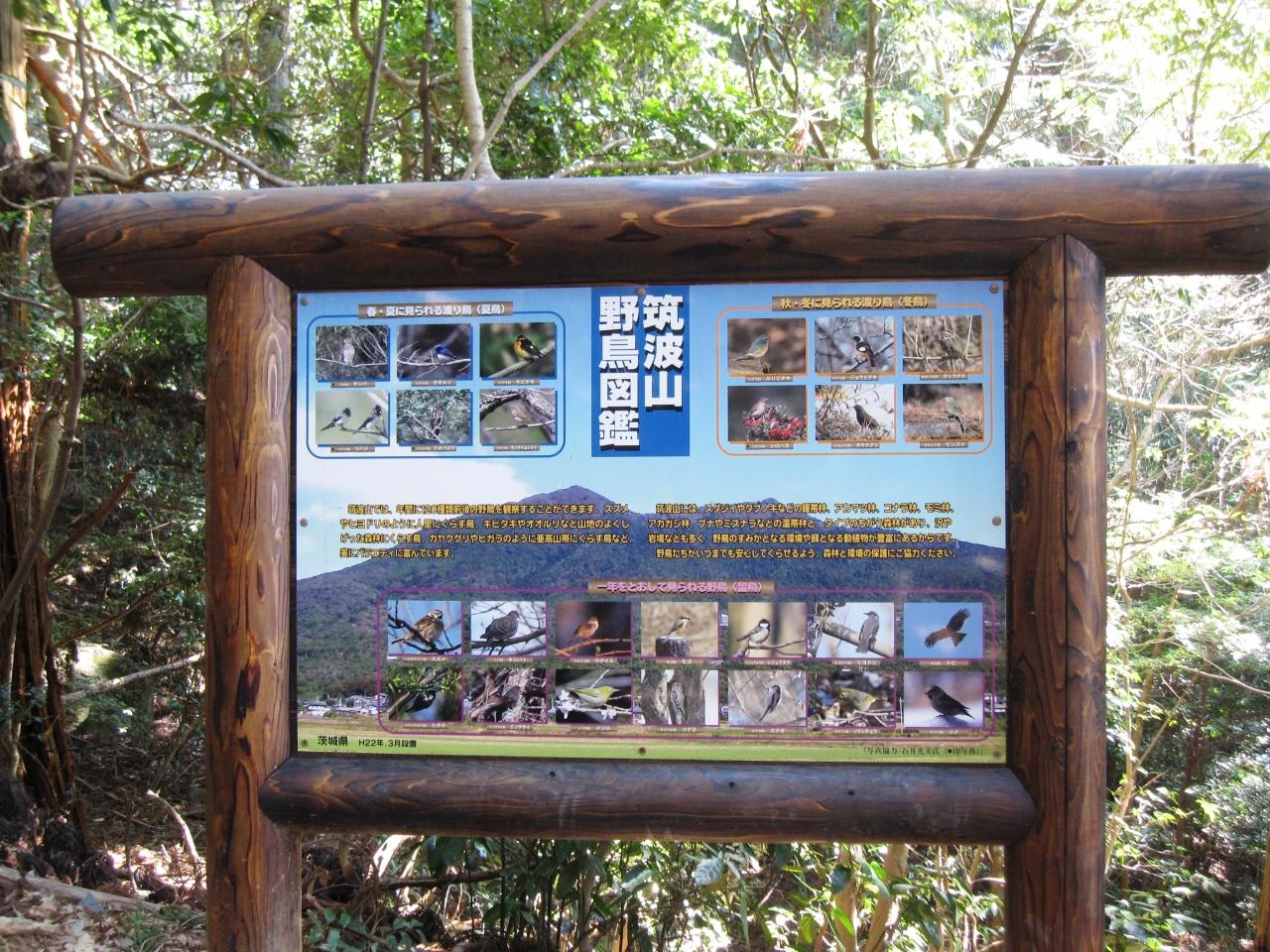 11年3月 忘れられない筑波山 賑やかな梅まつりから一転 筑波山周辺 茨城県 の旅行記 ブログ By Kodebuさん フォートラベル