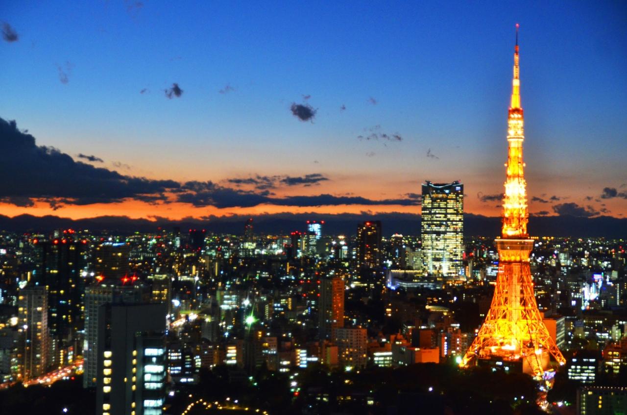 東京の夜景 東京の旅行記 ブログ By Shuchanさん フォートラベル