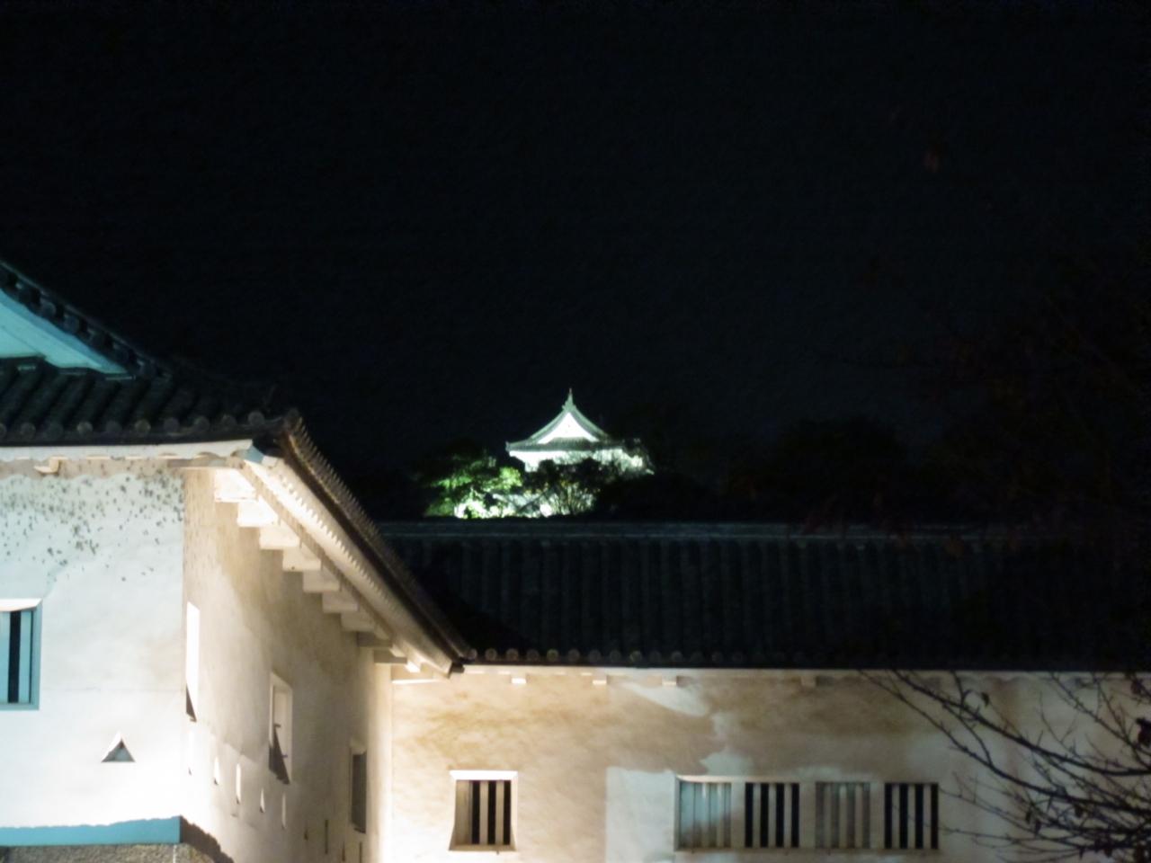 仕事後に行く 彦根 玄宮園の紅葉ライトアップ 彦根 滋賀県 の旅行記 ブログ By ぺでぃまるさん フォートラベル