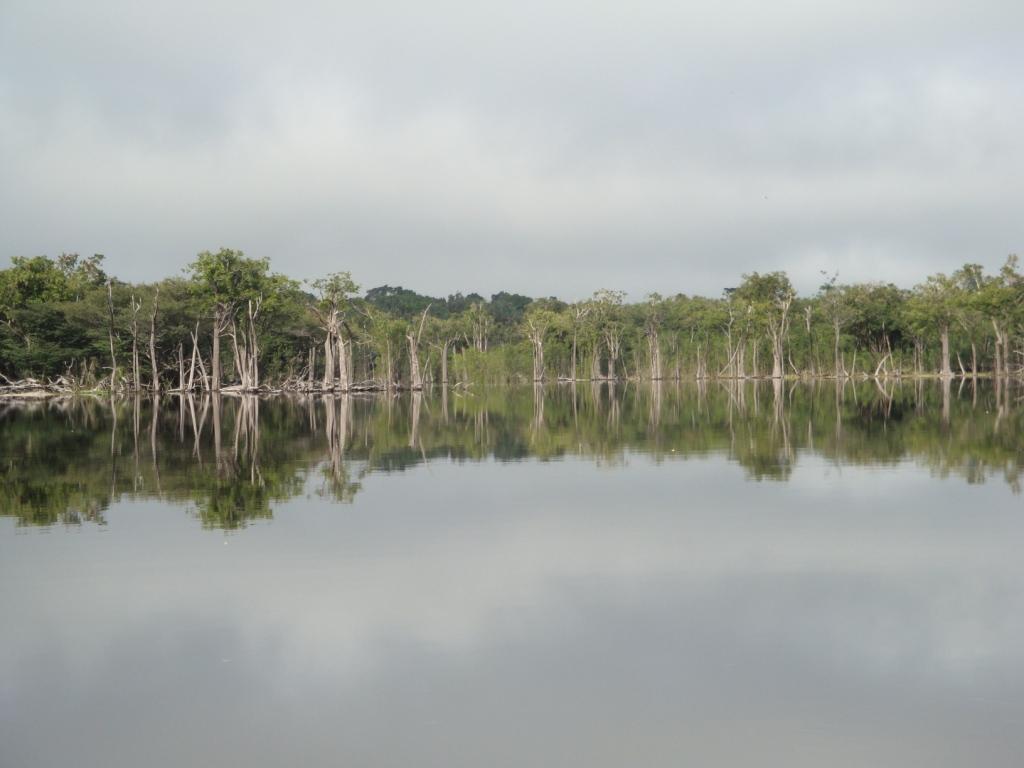 ブラジル アマゾン ジャングルの生活 マナウス ブラジル の旅行記 ブログ By East Of Edenさん フォートラベル