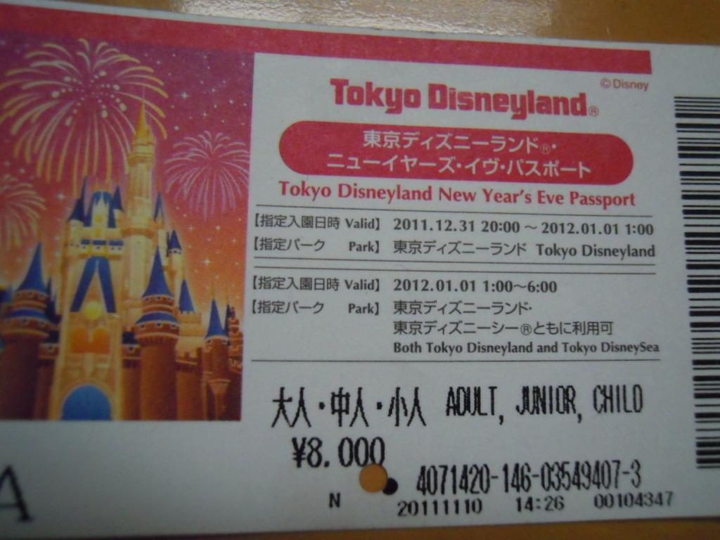 初体験 年越しディズニーランド 東京ディズニーリゾート 千葉県 の旅行記 ブログ By まどぷーさん フォートラベル