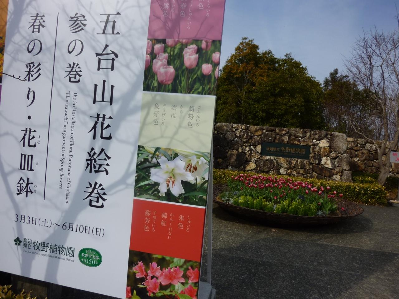 12年03月 春を先取り 五台山花絵巻 参の巻 春の彩り 花皿鉢 高知県立牧野植物園 高知市 高知県 の旅行記 ブログ By Ntkj62さん フォートラベル