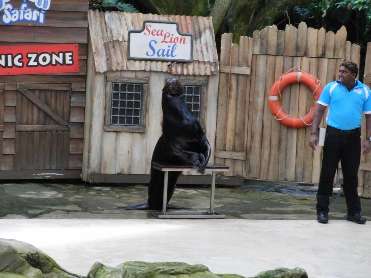 海外の動物園に行ってみたい シンガポール動物園 シンガポール シンガポール の旅行記 ブログ By Terkiraさん フォートラベル