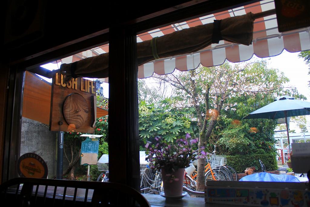 京都最終日後半は 出町柳デルタの亀石ぴょんぴょん跳びと鴨川べりの散歩の巻 京都の旅行記 ブログ By こざくらさん フォートラベル