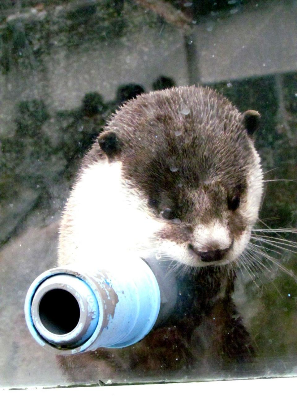 二見シーパラダイス ブログでお馴染みのアイドル達に会いに 二見浦 三重県 の旅行記 ブログ By Jilllucaさん フォートラベル