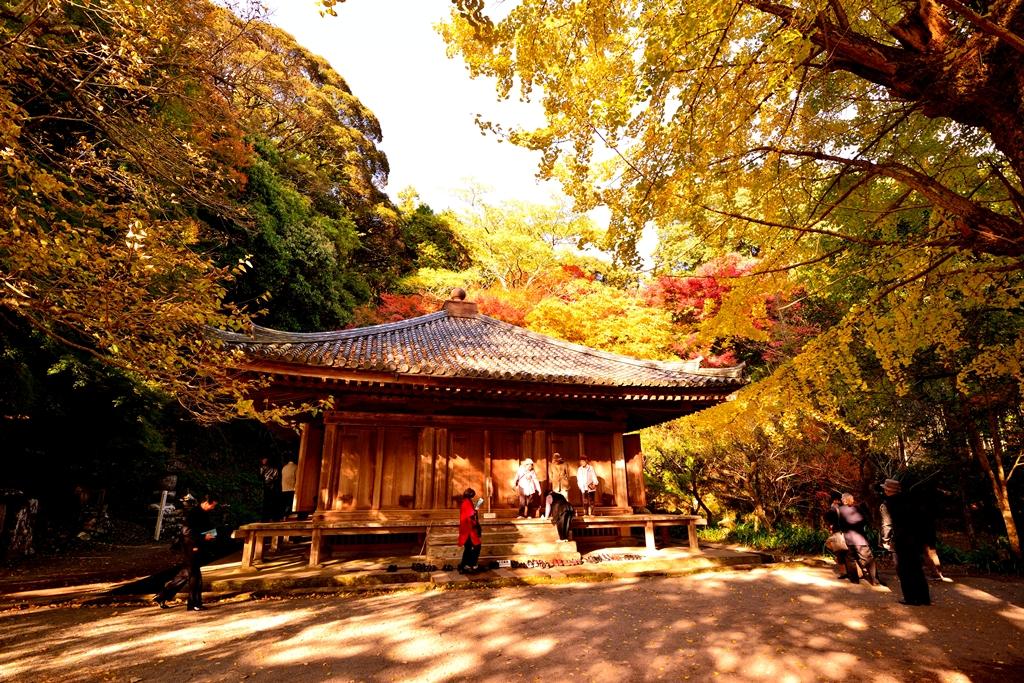 富貴寺の紅葉 宇佐 豊後高田 大分県 の旅行記 ブログ By 気まぐれなデジカメ館さん フォートラベル