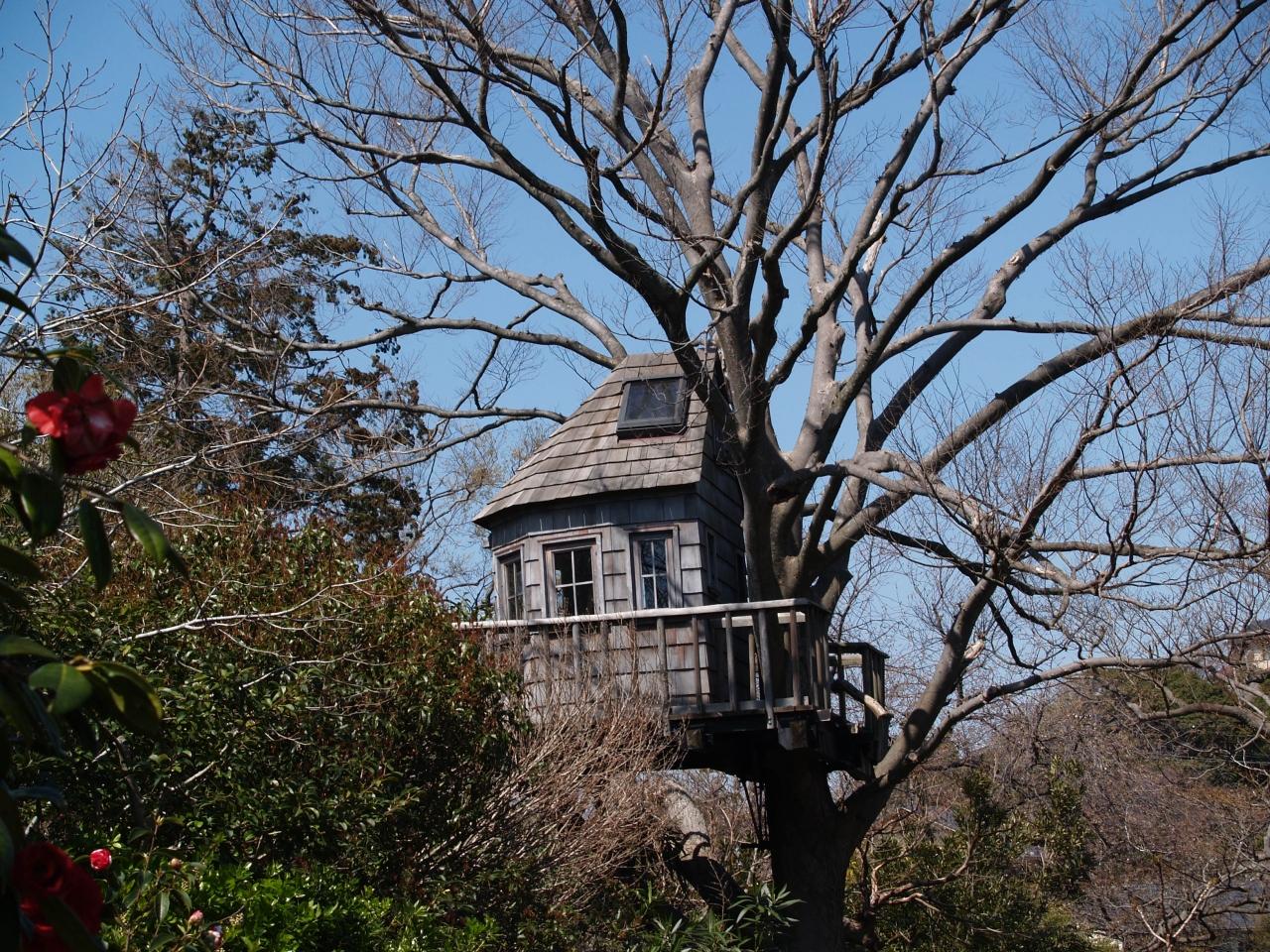 木の上の家がある洋館 鎌倉市鎌倉山2 鎌倉 神奈川県 の旅行記 ブログ By ドクターキムルさん フォートラベル