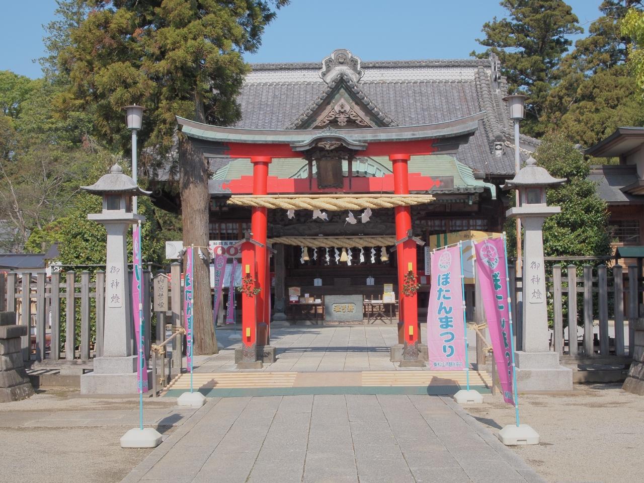 箭弓稲荷神社のぼたん祭 東松山 埼玉県 の旅行記 ブログ By Ellieさん フォートラベル