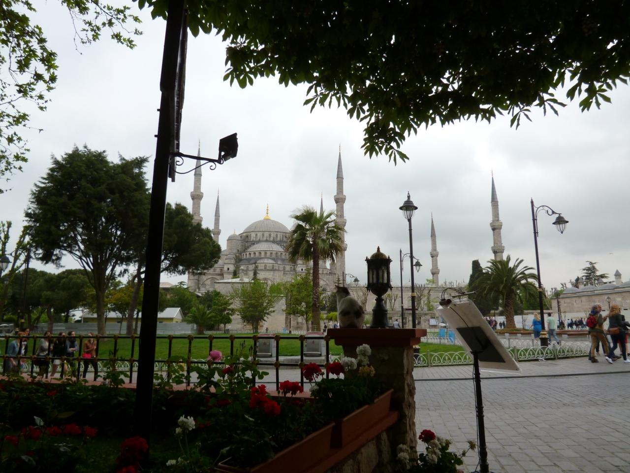 トルコでうろうろ ブルーモスクの呪い 地下宮殿 カッパドキアへ移動 カッパドキア トルコ の旅行記 ブログ By なつままさん フォートラベル