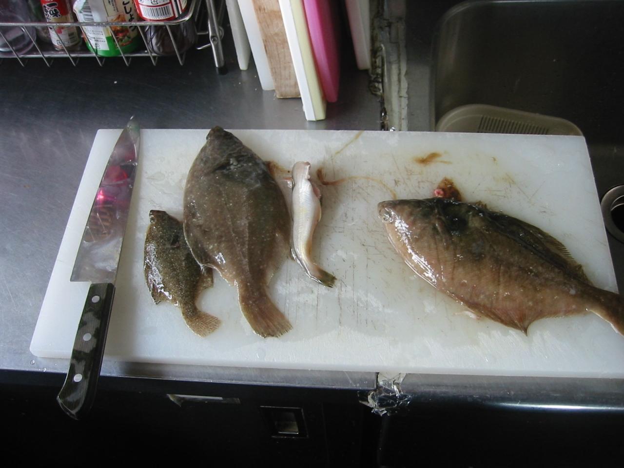 留萌の海 留萌 るもい 北海道 の旅行記 ブログ By マプトさん フォートラベル