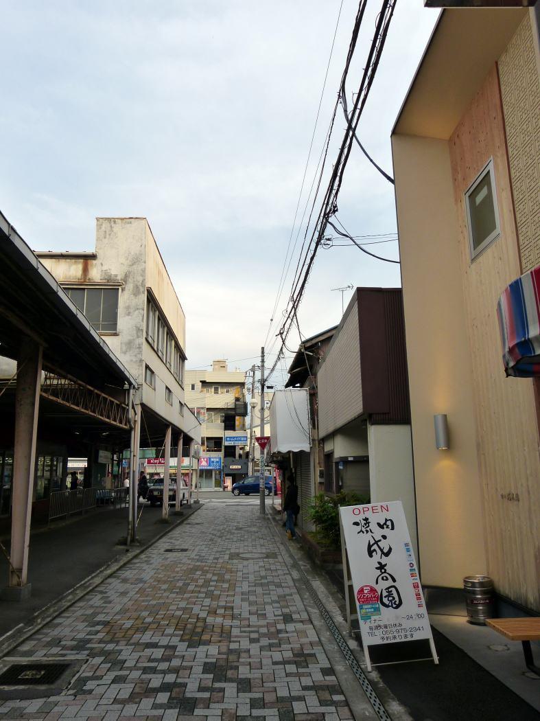 三島広小路駅前の焼肉 成高園 せいこうえん の夕食 三島 静岡県 の旅行記 ブログ By ミシマさん フォートラベル